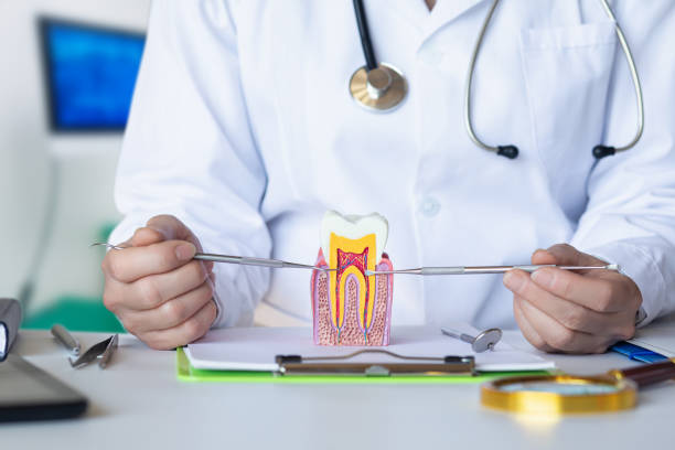 Best Emergency Treatment for Toothache in Draper, UT